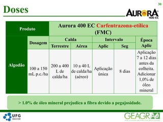 Doses
30
Produto
Aurora 400 EC Carfentrazona-etílica
(FMC)
Algodão
Dosagem
Calda Intervalo Época
AplicTerrestre Aérea Aplic Seg
100 a 150
mL p.c./ha
200 a 400
L de
calda/ha
10 a 40 L
de calda/ha
(aéreo)
Aplicação
única
8 dias
Aplicação
7 a 12 dias
antes da
colheita.
Adicionar
1,0% de
óleo
mineral
> 1.0% de óleo mineral prejudica a fibra devido a pegajosidade.
 