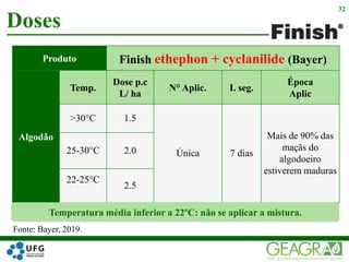 Doses
32
Fonte: Bayer, 2019.
Produto Finish ethephon + cyclanilide (Bayer)
Algodão
Temp.
Dose p.c
L/ ha
N° Aplic. I. seg.
Época
Aplic
>30°C 1.5
Única 7 dias
Mais de 90% das
maçãs do
algodoeiro
estiverem maduras
25-30°C 2.0
22-25°C
2.5
Temperatura média inferior a 22ºC: não se aplicar a mistura.
 