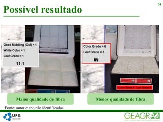Possível resultado
34
Maior qualidade de fibra Menos qualidade de fibra
Fonte: autor e ano não identificados.
 