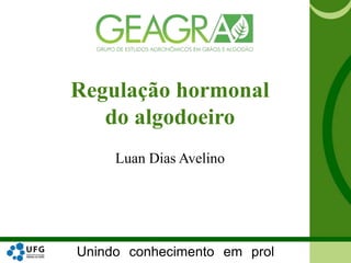 Unindo conhecimento em prol
Regulação hormonal
do algodoeiro
Luan Dias Avelino
 