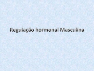 Regulação hormonal Masculina 