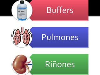 Regulación ácido base renal. mel | PPTX