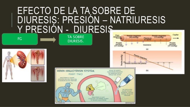 Resultado de imagen para Efecto de la presión arterial sobre la diuresis: presión-natriuresis y presión-diuresis