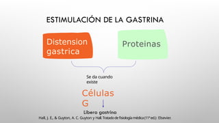 REGULACIÓN DE LA SECRECION ACIDO Y PEPSINAS.pptx