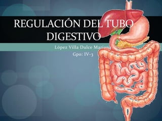 López Villa Dulce Mariana
Gpo: IV-3
REGULACIÓN DEL TUBO
DIGESTIVO
 