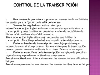 CONTROL DE LA TRANSCRIPCIÓN


·         Una secuencia promotora o promotor: secuencias de nucleótidos
necesarias para la fijación de la ARN polimerasa.
·         Secuencias reguladoras: existen dos tipos
Intensificadoras (del inglés, enhancers):secuencias que estimulan la
transcripción y cuya localización puede ser a miles de nucleótidos de
distancia "río arriba o abajo" del promotor.
Silenciadoras (del inglés silencers) : secuencias que inhiben la
transcripción. También pueden hallarse muy distantes del promotor.
·         Factores basales de transcripción: complejo proteico que
interacciona con el sitio promotor. Son esenciales para la transcripción
pero no pueden aumentar o disminuir su ritmo. De esto se encargan:
·         Factores específicos de la transcripción: complejo de proteínas
reguladoras que pueden ser activadoras o represoras.
Proteínas activadoras : interaccionan con las secuencias intensificadoras
del gen.
Proteínas represoras: interactúan con las secuencias silenciadoras del gen.
 