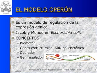 EL MODELO OPERÓN Es un modelo de regulación de la expresión génica. Jacob y Monod en  Escherichia coli . CONCEPTOS: Promotor. Genes estructurales. ARN policistrónico Operador Gen regulador 14/02/10 