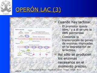 OPERÓN LAC (3) Cuando hay lactosa: El promotor queda libre,  y a él se une la ARN polimerasa Comienza la transcripción de genes de enzimas implicadas en la degradación de la lactosa. Así sólo se producen los enzimas necesarios en el momento preciso. 14/02/10 