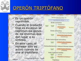 OPERÓN TRIPTÓFANO Es un operón reprimible. Cuando el producto final es excesivo se reprimen los genes de los enzimas que dan lugar a su síntesis. En este caso, el represor sólo es activo cuando se une al triptófano. 14/02/10 