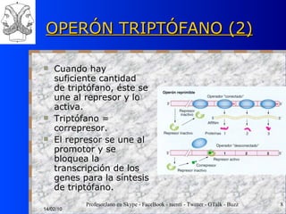OPERÓN TRIPTÓFANO (2) Cuando hay suficiente cantidad de triptófano, éste se une al represor y lo activa. Triptófano = correpresor. El represor se une al promotor y se bloquea la transcripción de los genes para la síntesis de triptófano. 14/02/10 