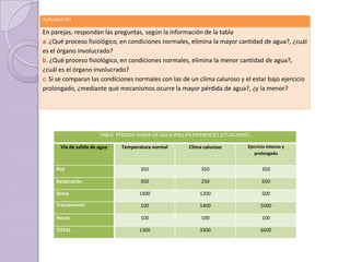Actividad nº1

En parejas, respondan las preguntas, según la información de la tabla
a. ¿Qué proceso fisiológico, en condiciones normales, elimina la mayor cantidad de agua?, ¿cuál
es el órgano involucrado?
b. ¿Qué proceso fisiológico, en condiciones normales, elimina la menor cantidad de agua?,
¿cuál es el órgano involucrado?
c. Si se comparan las condiciones normales con las de un clima caluroso y el estar bajo ejercicio
prolongado, ¿mediante qué mecanismos ocurre la mayor pérdida de agua?, ¿y la menor?




                         TABLA PÉRDIDA DIARIA DE AGUA (ML) EN DIFERENTES SITUACIONES.

        Vía de salida de agua    Temperatura normal         Clima caluroso         Ejercicio intenso y
                                                                                      prolongado


      Piel                               350                     350                      350

      Respiración                        350                     250                      650

      Orina                             1400                    1200                      500

      Transpiración                      100                    1400                     5000

      Heces                              100                     100                      100

      TOTAL                             1300                    3300                     6600
 