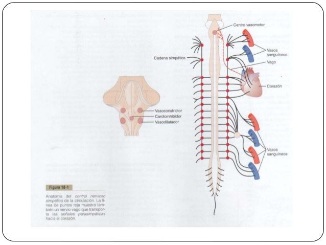 Ver las imágenes de origen