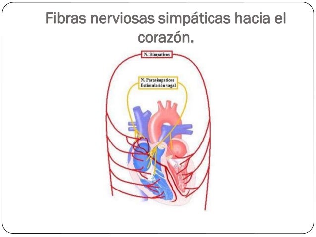 Ver las imágenes de origen