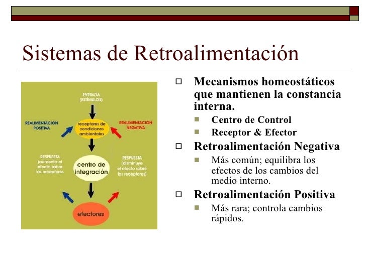 Regulación neuroendocrina de la homeostasis