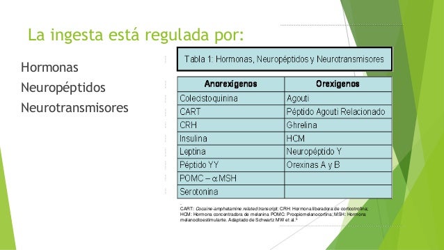 Regulación Neuroendocrina del Balance Energético Regulación Neuroendocrina del Balance Energético