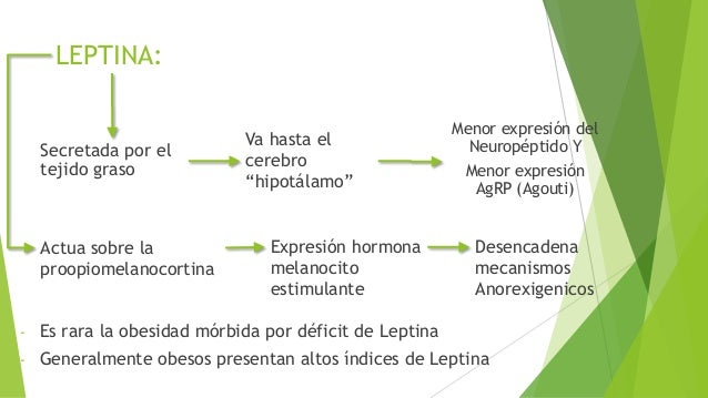 Regulación Neuroendocrina del Balance Energético Regulación Neuroendocrina del Balance Energético