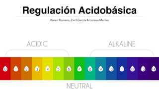 Regulación Acidobásica
Karen Romero, Zazil García & Lorena Macías
 