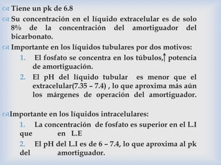  Tiene un pk de 6.8
 Su concentración en el líquido extracelular es de solo
8% de la concentración del amortiguador del
bicarbonato.
 Importante en los líquidos tubulares por dos motivos:
1. El fosfato se concentra en los túbulos, potencia
de amortiguación.
2. El pH del líquido tubular es menor que el
extracelular(7.35 – 7.4) , lo que aproxima más aún
los márgenes de operación del amortiguador.
Importante en los líquidos intracelulares:
1. La concentración de fosfato es superior en el L.I
que en L.E
2. El pH del L.I es de 6 – 7.4, lo que aproxima al pk
del amortiguador.
 