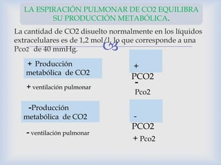 
La cantidad de CO2 disuelto normalmente en los líquidos
extracelulares es de 1,2 mol/l, lo que corresponde a una
Pco2 de 40 mmHg.
LA ESPIRACIÓN PULMONAR DE CO2 EQUILIBRA
SU PRODUCCIÓN METABÓLICA.
+ Producción
metabólica de CO2
+
PCO2
-Producción
metabólica de CO2 -
PCO2
+ ventilación pulmonar
-
Pco2
- ventilación pulmonar
+ Pco2
 