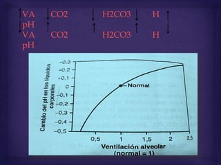 VA CO2 H2CO3 H
pH
VA CO2 H2CO3 H
pH
 