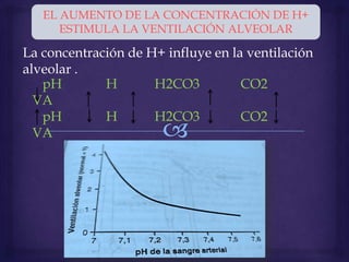La concentración de H+ influye en la ventilación
alveolar .
EL AUMENTO DE LA CONCENTRACIÓN DE H+
ESTIMULA LA VENTILACIÓN ALVEOLAR
pH H H2CO3 CO2
VA
pH H H2CO3 CO2
VA
 