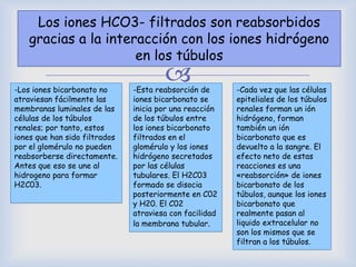 
Los iones HCO3- filtrados son reabsorbidos
gracias a la interacción con los iones hidrógeno
en los túbulos
-Los iones bicarbonato no
atraviesan fácilmente las
membranas luminales de las
células de los túbulos
renales; por tanto, estos
iones que han sido filtrados
por el glomérulo no pueden
reabsorberse directamente.
Antes que eso se une al
hidrogeno para formar
H2C03.
-Esta reabsorción de
iones bicarbonato se
inicia por una reacción
de los túbulos entre
los iones bicarbonato
filtrados en el
glomérulo y los iones
hidrógeno secretados
por las células
tubulares. El H2C03
formado se disocia
posteriormente en C02
y H20. El C02
atraviesa con facilidad
la membrana tubular.
-Cada vez que las células
epiteliales de los túbulos
renales forman un ión
hidrógeno, forman
también un ión
bicarbonato que es
devuelto a la sangre. El
efecto neto de estas
reacciones es una
«reabsorción» de iones
bicarbonato de los
túbulos, aunque los iones
bicarbonato que
realmente pasan al
liquido extracelular no
son los mismos que se
filtran a los túbulos.
 