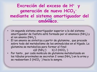 
Excreción del exceso de H+ y
generación de nuevo HCO3
-
mediante el sistema amortiguador del
amoniaco.
• Un segundo sistema amortiguador superior a la del sistema
amortiguador de fosfato está formado por el amoniaco (NH3) y
el ion amonio (NH4
+).
• El ion amonio se sintetiza a partir de glutamina , que procede
sobre todo del metabolismo de los aminoácidos en el hígado. La
glutamina se metaboliza para formar al final:
a)2 (NH4
+) b) 2 (HCO3
- )
• Por tanto , por cada molécula de glutamina metabolizada en
los túbulos proximales se secretan 2 iones (NH4
+) en la orina y
se reabsorben 2 (HCO3
- ) hacia la sangre.
 