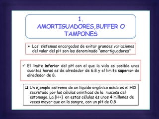 1.
AMORTIGUADORES,BUFFER O
TAMPONES
 Los sistemas encargados de evitar grandes variaciones
del valor del pH son los denominado “amortiguadores”
 El limite inferior del pH con el que la vida es posible unas
cuantas horas es de alrededor de 6.8 y el limite superior de
alrededor de 8.
 Un ejemplo extremo de un liquido orgánico acido es el HCl
secretado por las células oxinticas de la mucosa del
estomago. La [H+] en estas células es unos 4 millones de
veces mayor que en la sangre, con un pH de 0.8
 
