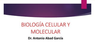 BIOLOGÍA CELULAR Y
MOLECULAR
Dr. Antonio Abad García
 