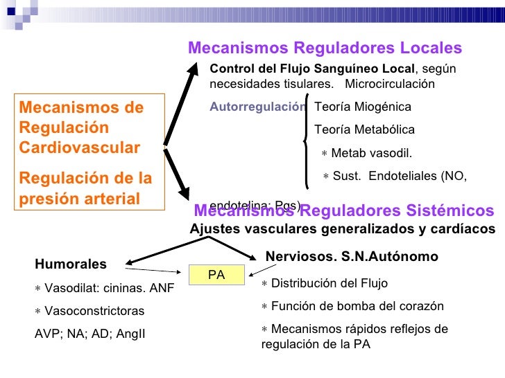 Regulacion de la presion arterial 2012