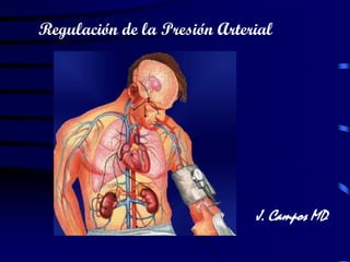 J. Campos MD
Regulación de la Presión Arterial
 