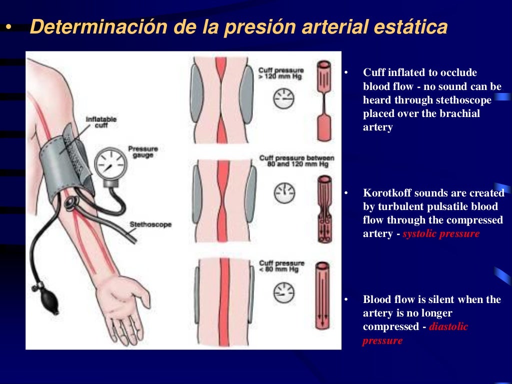 Regulacion de la presion arterial 2015