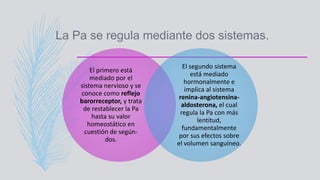 Regulacion de la presion arterial y microcirculación | PPTX