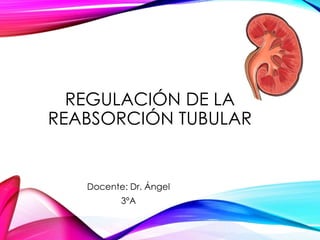 REGULACIÓN DE LA 
REABSORCIÓN TUBULAR 
Docente: Dr. Ángel 
3ºA 
 