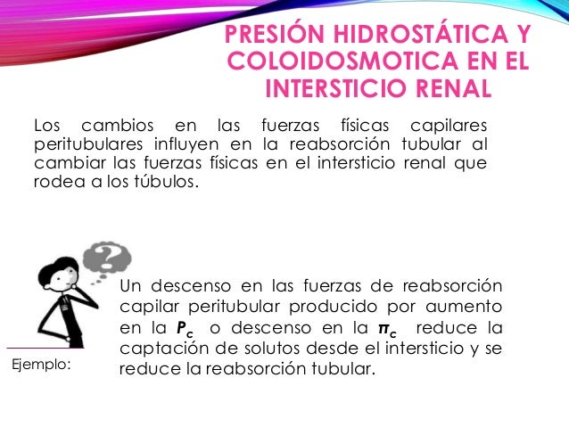 Resultado de imagen para Presiones hidrostática y coloidosmótica en el intersticio renal.
