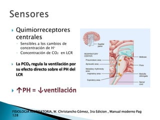 Regulacion De La Respiracion PPTX regulacion-de-la-respiracion-pptx