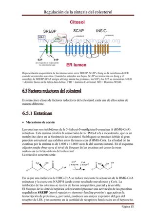 Regulación de la síntesis del colesterol

Representación esquemática de las interacciones entre SREBP, SCAP e Insig en la membrana del ER
cuando los esteroles son altos. Cuando los esteroles son bajos, SCAP no interactúa con Insig y el
complejo de SREBP-SCAP emigra al Golgi donde las proteasas, los S1P y los S2P se encuentran. bHLH
= dominio básico de la hélice-lazo-hélice. CTD = dominio C-terminal. WD = Dominio WD40.

Existen cinco clases de factores reductores del colesterol, cada una de ellos actúa de
manera diferente.

 Mecanismo de acción
Las estatinas son inhibidoras de la 3-hidroxi-3-metilglutaril-coenzima A (HMG-CoA)
reductasa. Esta enzima cataliza la conversión de la HMG-CoA a mevalonato, que es un
metabolito clave en la biosíntesis de colesterol. Su bloqueo se produce debido al gran
parecido estructural que exhiben estos fármacos con el HMG-CoA. La afinidad de las
estatinas por la enzima es de 1.000 a 10.000 veces la del sustrato natural. En el esquema
adjunto puede observarse el nivel de bloqueo de las estatinas así como de otras
sustancias en la biosíntesis del colesterol.
La reacción concreta sería:

En la que una molécula de HMG-CoA se reduce mediante la actuación de la HMG-CoA
reductasa y la coenzima NADPH dando como resultado mevalonato y CoA. La
inhibición de las estatinas se realiza de forma competitiva, parcial y reversible.
El bloqueo de la síntesis hepática del colesterol produce una activación de las proteínas
reguladoras SREBP (sterol regulatory elements-binding proteins), que activan la
transcripción de proteínas y, por tanto, producen una mayor expresión del gen del
receptor de LDL y un aumento en la cantidad de receptores funcionales en el hepatocito.
Página 15

 