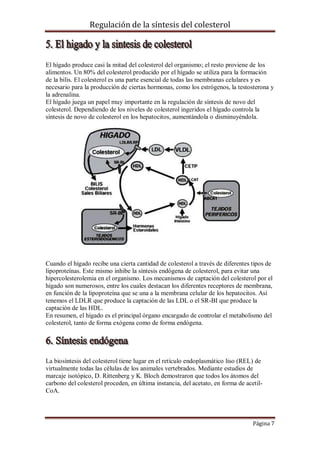 Regulación de la síntesis del colesterol

El hígado produce casi la mitad del colesterol del organismo; el resto proviene de los
alimentos. Un 80% del colesterol producido por el hígado se utiliza para la formación
de la bilis. El colesterol es una parte esencial de todas las membranas celulares y es
necesario para la producción de ciertas hormonas, como los estrógenos, la testosterona y
la adrenalina.
El hígado juega un papel muy importante en la regulación de síntesis de novo del
colesterol. Dependiendo de los niveles de colesterol ingeridos el hígado controla la
síntesis de novo de colesterol en los hepatocitos, aumentándola o disminuyéndola.

Cuando el hígado recibe una cierta cantidad de colesterol a través de diferentes tipos de
lipoproteínas. Este mismo inhibe la síntesis endógena de colesterol, para evitar una
hipercolesterolemia en el organismo. Los mecanismos de captación del colesterol por el
hígado son numerosos, entre los cuales destacan los diferentes receptores de membrana,
en función de la lipoproteína que se una a la membrana celular de los hepatocitos. Así
tenemos el LDLR que produce la captación de las LDL o el SR-BI que produce la
captación de las HDL.
En resumen, el hígado es el principal órgano encargado de controlar el metabolismo del
colesterol, tanto de forma exógena como de forma endógena.

La biosíntesis del colesterol tiene lugar en el retículo endoplasmático liso (REL) de
virtualmente todas las células de los animales vertebrados. Mediante estudios de
marcaje isotópico, D. Rittenberg y K. Bloch demostraron que todos los átomos del
carbono del colesterol proceden, en última instancia, del acetato, en forma de acetilCoA.

Página 7

 