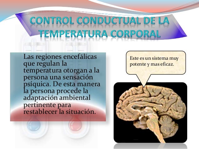 La máscara para la persona bueno las revocaciones