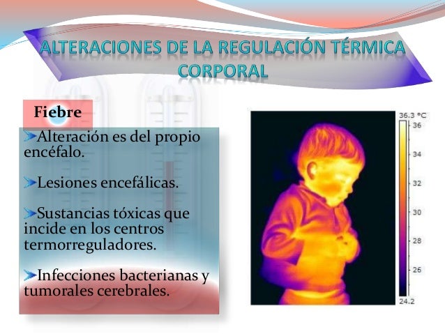 Los hinchazones bajo los ojos de la crema del ungüento