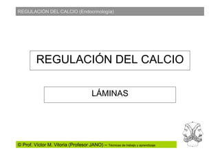 REGULACIÓN DEL CALCIO (Endocrinología)

REGULACIÓN DEL CALCIO
LÁMINAS

© Prof. Víctor M. Vitoria (Profesor JANO) – Técnicas de trabajo y aprendizaje

 