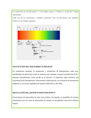 La soluciones con un pH menor a 7 son ácidas, mayor a 7 básicas y un pH de 7 indica
neutralidad.
Cada una de las secreciones o líquidos corporales tiene un pH óptimo que podemos
observar en la imagen siguiente:

MANTENCION DEL EQUILIBRIO ÁCIDO-BASE
En condiciones normales, la producción y eliminación de hidrogeniones están muy
equilibradas, de manera que el pH se mantiene casi constante. Aunque la producción de H+
aumente marcadamente, como sucede en el ejercicio, el organismo logra mantener una
concentración de hidrogeniones relativamente estable gracias a la existencia de mecanismos
tampones y a la acción reguladora del aparato respiratorio y del riñón.

REGULACIÓN DEL pH POR INTERVENIR IÓNICO
El mecanismo de intercambio de iones entre células y los líquidos se ejemplifica de manera
característica por los casos de intercambio de aniones en los glóbulos rojos de los túbulos
renales.

 
