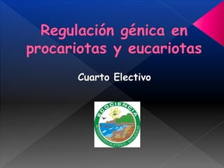 Cuarto Electivo
 