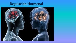 Regulación Hormonal
 