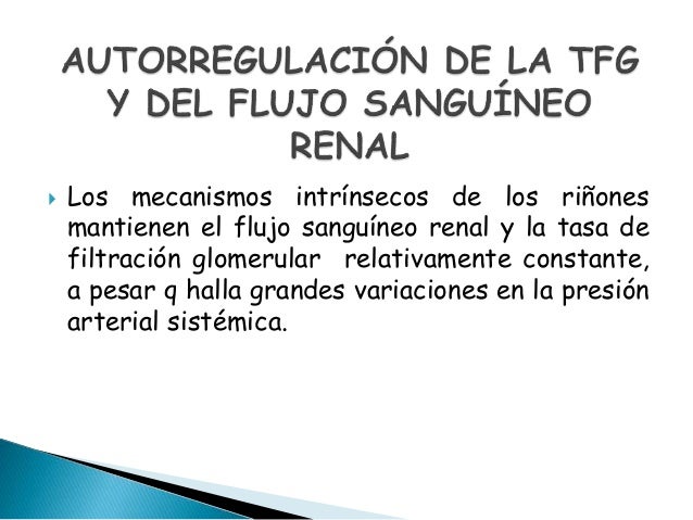 Regulacion hormonal y nerviosa Regulacion hormonal y nerviosa