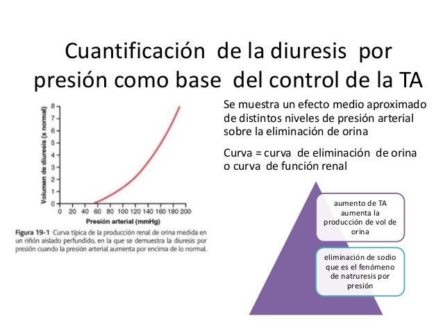 Resultado de imagen para Cuantificación de la diuresis por presión como base del control de la presión arterial