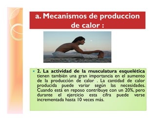 a. Mecanismos dea. Mecanismos de produccionproduccion
de calor :de calor :
a. Mecanismos dea. Mecanismos de produccionproduccion
de calor :de calor :
2. La actividad de la musculatura esquelética2. La actividad de la musculatura esquelética
tienen también una gran importancia en el aumento
de la producción de calor . La cantidad de calor
producida puede variar según las necesidades.
Cuando está en reposo contribuye con un 20%, pero
durante el ejercicio esta cifra puede verse
incrementada hasta 10 veces más.
 