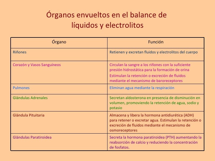 cuanto puedo bajar de peso si dejo de comer una semana Recomendable cuanto puedo bajar de peso si dejo de comer una semana