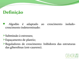 Definição
 Algodão é adaptado ao crescimento isolado-
crescimento indeterminado:
Submissão à estresses;
Espaçamento de plantio;
Reguladores de crescimento: Inibidores das estruturas
das giberelinas (ent-caureno).
 