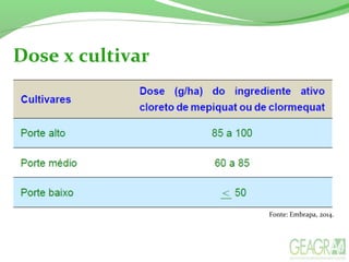 Dose x cultivar
Fonte: Embrapa, 2014.
 